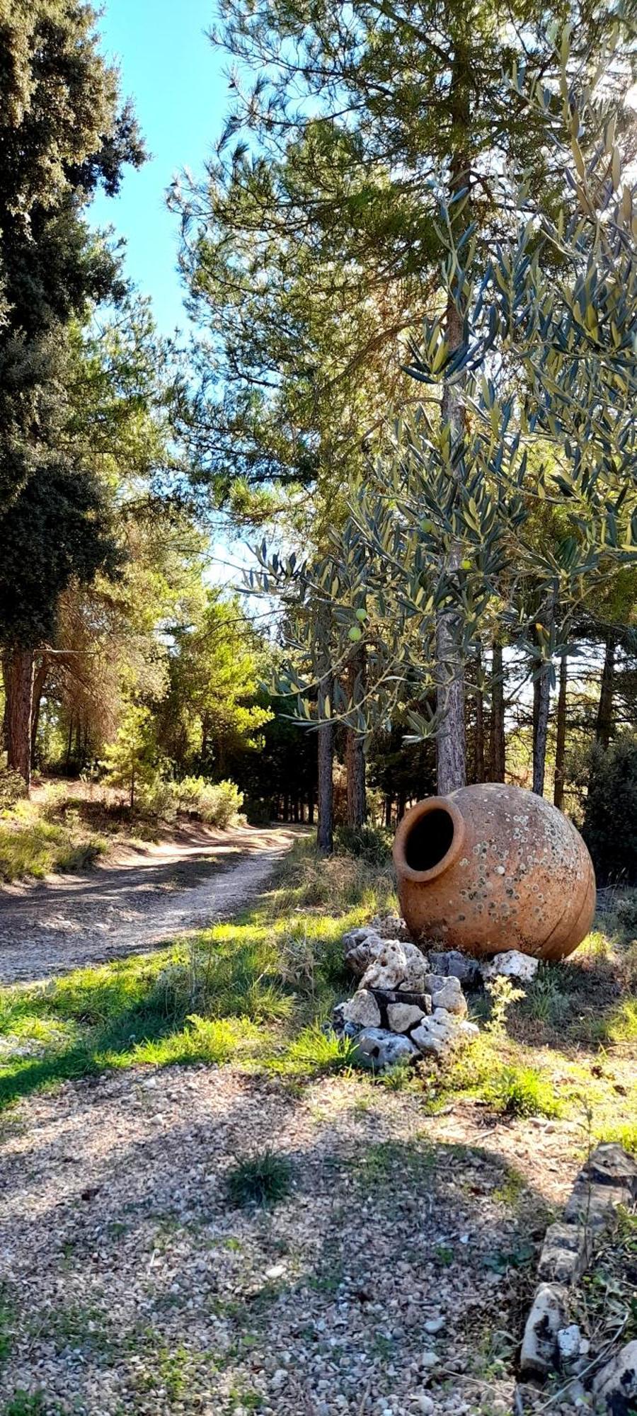 Villa Sanz كوينكا المظهر الخارجي الصورة
