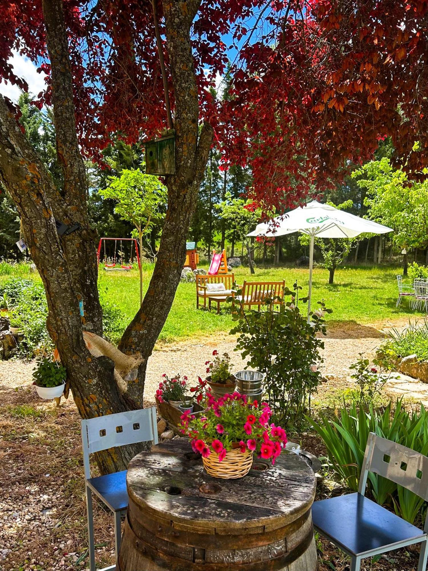 Villa Sanz كوينكا المظهر الخارجي الصورة