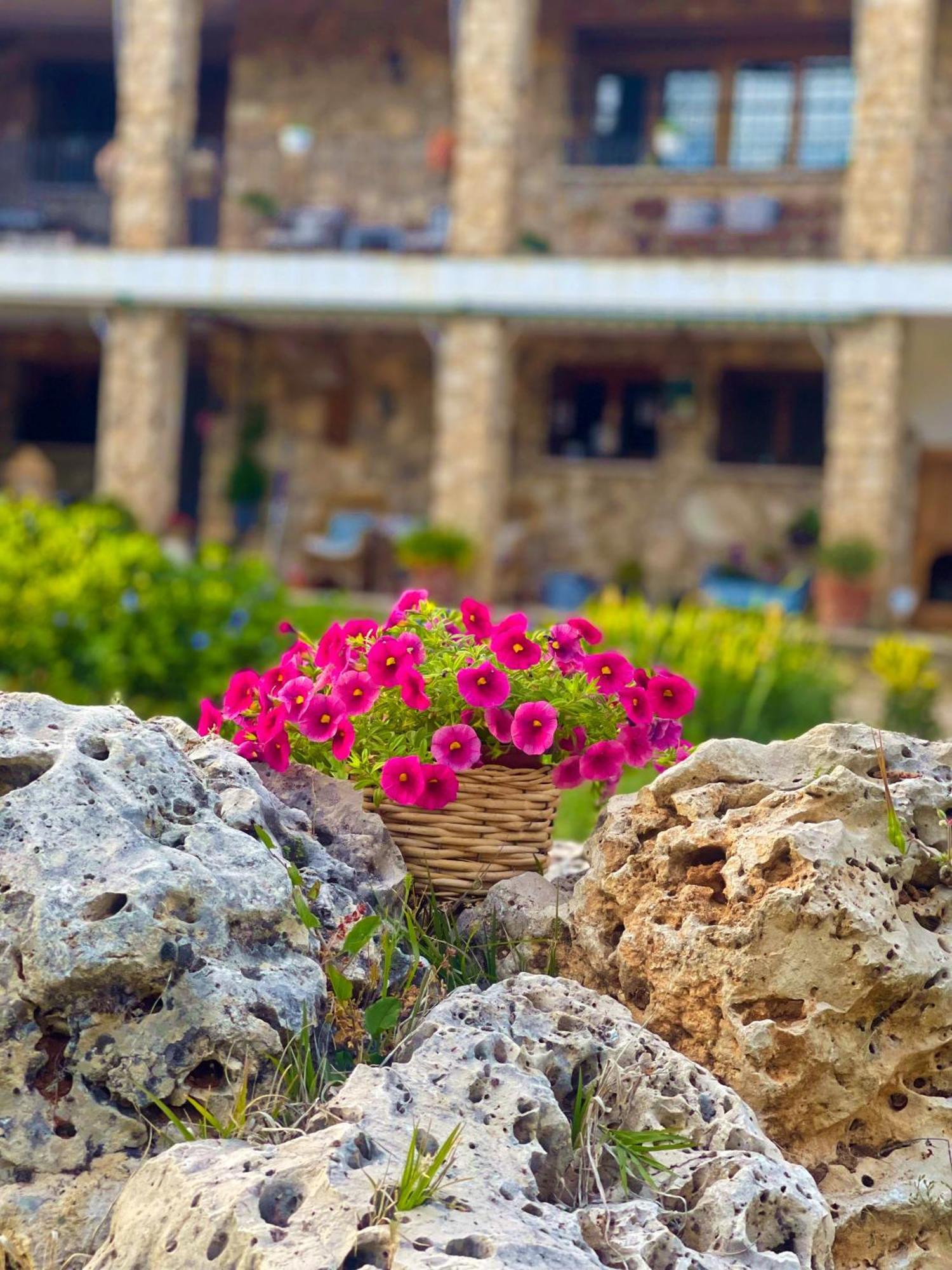 Villa Sanz كوينكا المظهر الخارجي الصورة